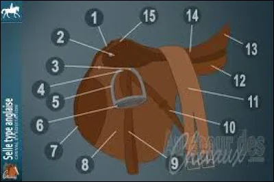 La sangle est le numéro...