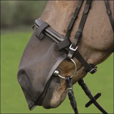 Que met-on dans la bouche du cheval ?