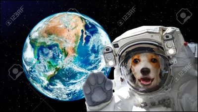 Quel animal peut survivre dans l'espace (sans combinaison) ?