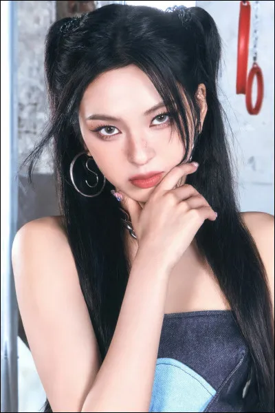 Dans quel pays se déroulera votre concert ?