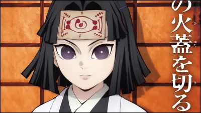 Qui est ce personnage ? Coche la bonne réponse.