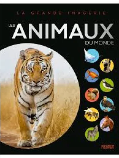 Aimes-tu les animaux ?