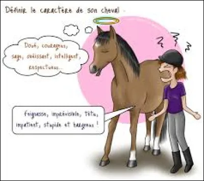 Dernière question : comment voudrais-tu ton cheval ?
