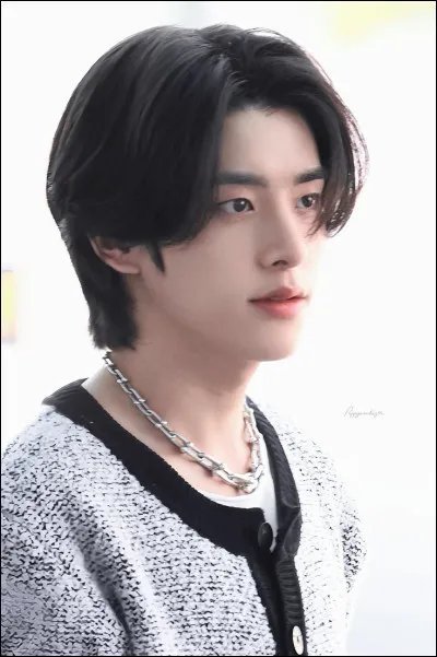 Choisis ta coiffure.