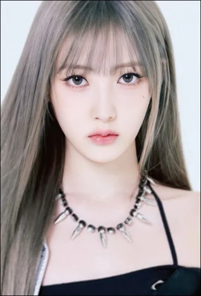 Quel groupe préfères-tu entre ces quatre-là ?