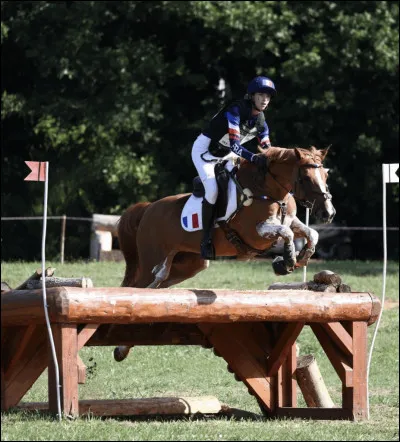 La discipline est ...