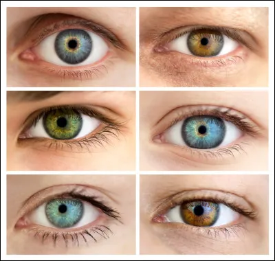 De quelle couleur sont tes yeux ?