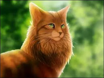 Alors on commence ! Imaginons, tu es un chaton qui a déjà 5 lunes, tu sais parler... Tes parents, Plume de Givre et Pelage Gris, te demandent ce que tu voudrais être, tes ambitions. Que leur réponds-tu ?