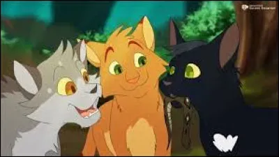 Ensuite, quelques jours plus tard, ton mentor, qui est aussi le chef, te dit d'aller changer les litières des anciens. Que fais-tu ?