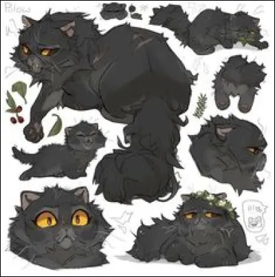 Quel est ton clan préféré ?
(Désolé si tu préférais le Clan du Ciel...)