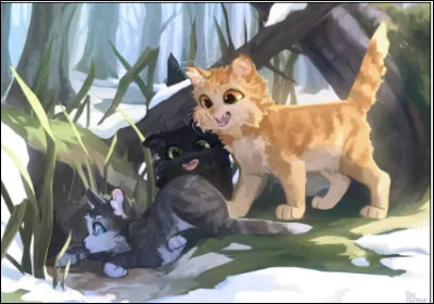 Tu penses avoir un nom...