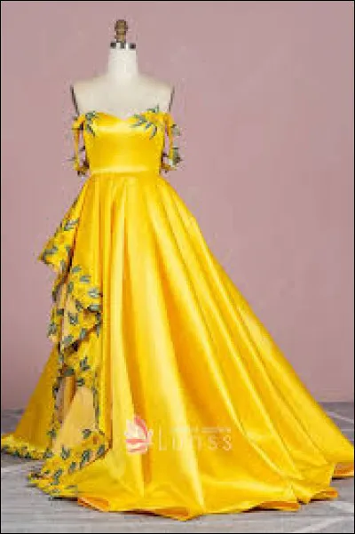 De quelle couleur veux-tu que la robe soit ?