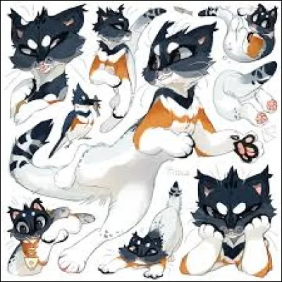 Attention spoil !
Qui est l'imposteur ?