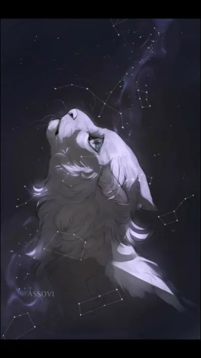 Pourquoi a-t-il tant d'affection pour Soie de Gel ?