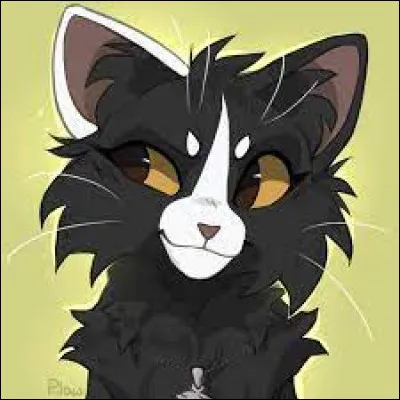 Comment Pelage de Granit a-t-il pris possession du corps d'Étoile de Ronce ?