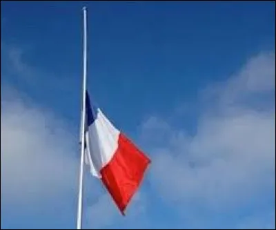 En France, une mise en berne des drapeaux a été ordonnée pour le 11 janvier 1996 : à quelle occasion ?