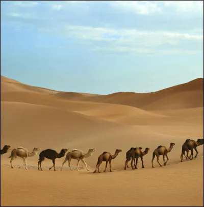 Il se situe en Afrique et s'étend sur 5000 kilomètres, trouvez son nom...