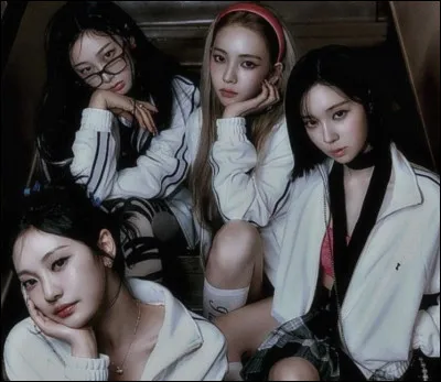 Tu choisis un topping final pour ton plat. Lequel prends-tu ?