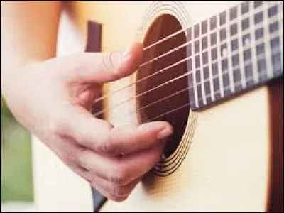 Quel chanteur interprète "J'ai la guitare qui me démange" en 1979 ?