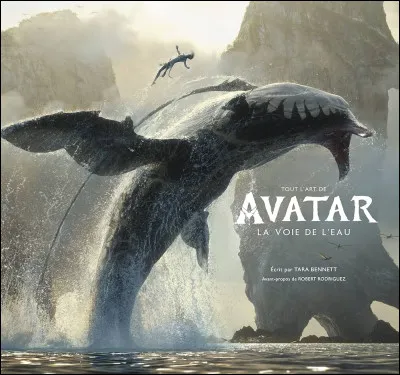 "Avatar : La Voie de l'eau" se passe combien de temps après le premier film ?