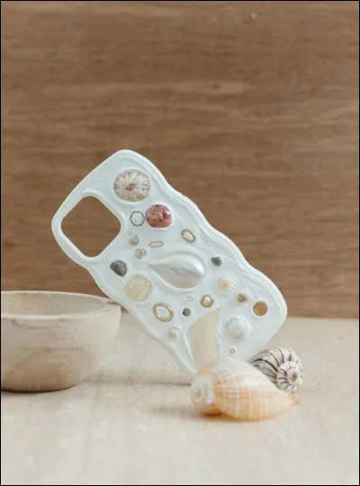 Si tu as un téléphone (sinon autre objet personnalisable), comment est sa coque ?