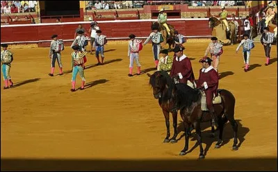 Comment se nomme le début d'une corrida ?