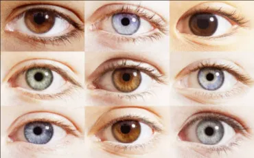 Quiz Test de personnalit