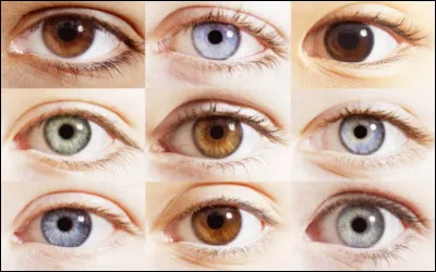 Quelle est la couleur de tes yeux ?