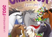 Quiz Qui est-ce dans ''Mes amis les chevaux'' ?