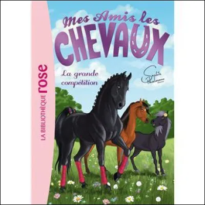 Quel est le nom du cheval noir ?