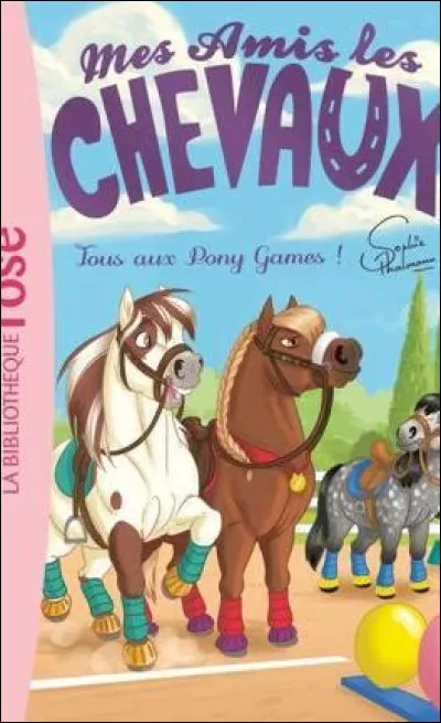 Quel est le nom du poney marron ?