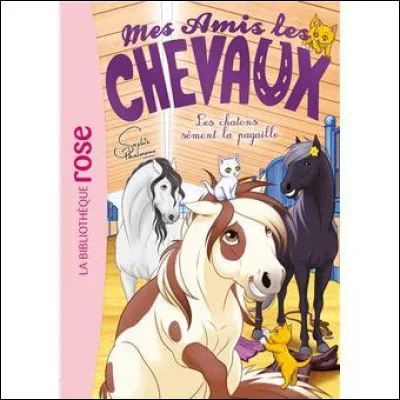 Et le petit poney bicolore, qui est-ce ?