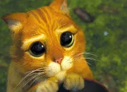 Quiz Le chat dans les films, posies, citations etc