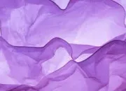 Quiz Autour du mot 'violet'