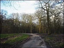 A combien est son point culminant ?