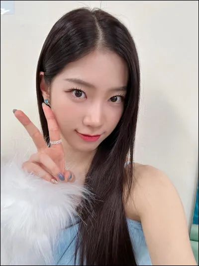 Quelles sont les autres idoles qui assistent au gala ?