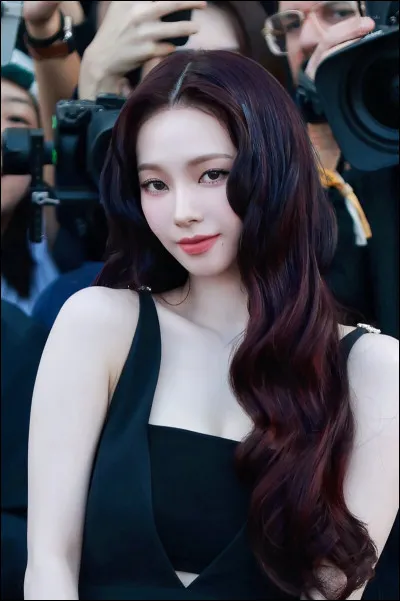 Est-ce que les autres idoles vont à l'after party ?