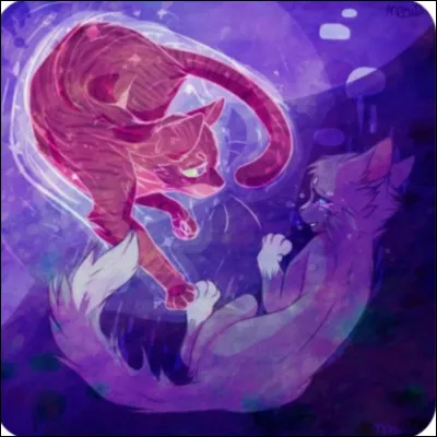 Que doit avoir ce livre ?