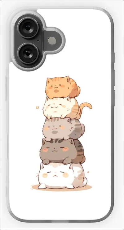 Devra-t-il &ecirc;tre facile &agrave; comprendre ?