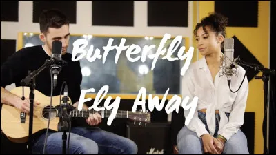 "Butterfly" est une chanson interprétée par...
