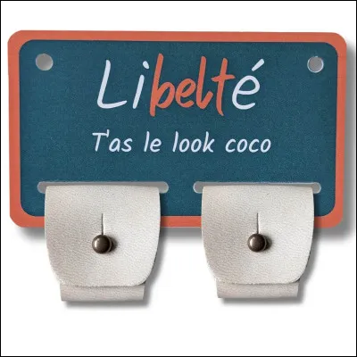 Qui est l'auteur du hit "T'as le look coco" ?