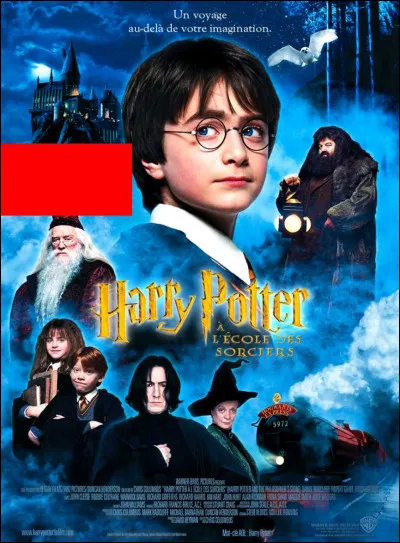 Que voyons-nous voler au-dessus de la tête de Dumbledore ?