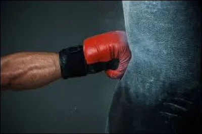 Comment appelle-t-on les diff&eacute;rentes parties du combat ?