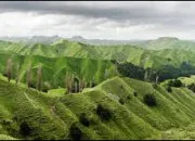 Quiz Oui ou non ? (20)