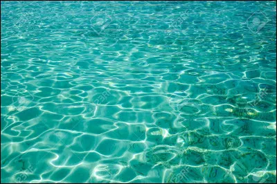 Que fais-tu souvent ou voudrais-tu faire ?