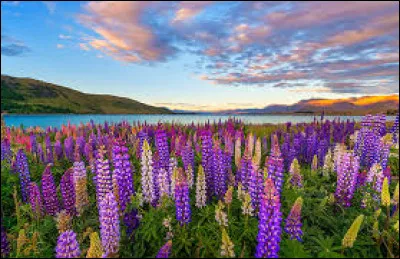 La bataille de Verdun a-t-elle eu lieu en 1939 ?