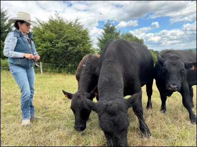 Dans quel État résident plus de vaches que dhumains ?