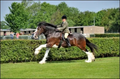 Combien de litres d'eau boit-il par jour ?