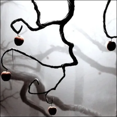 Ton approche de la vie est-elle plutôt structurée et organisée ou flexible et spontanée ?