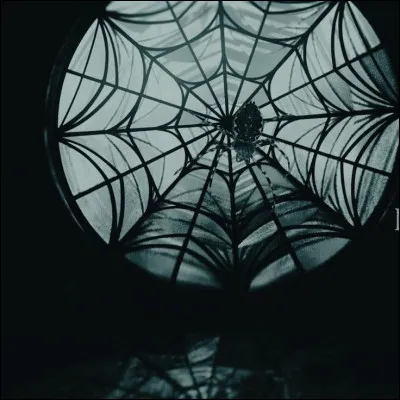 Es-tu une personne plutôt déterminée, avec une envie de ne pas correspondre aux attentes de la société ou alors une personne plus discrète et réservée ?